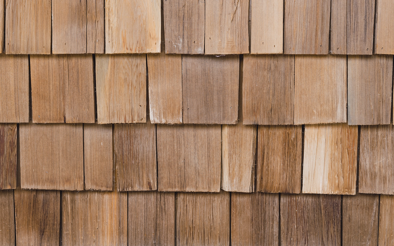 Cedar
